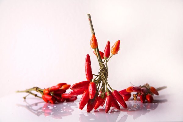 chili 664635 960 720