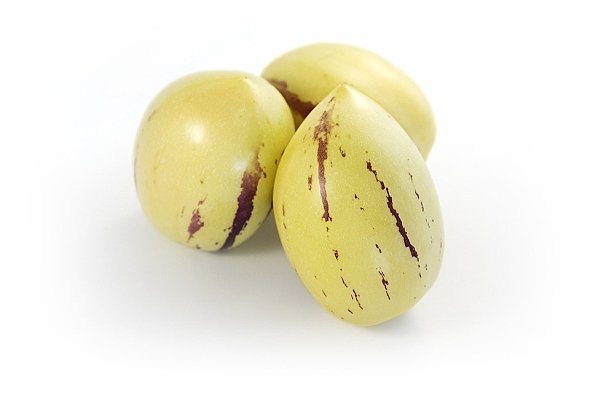 PEPINO - MELOUNOVÝ KEŘ - SOLANUM MURICATUM