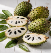 Annona muricata - Anona ostnitá - graviola (2/4)