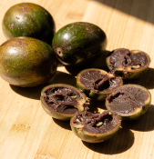 Diospyros digyna - Černá sapota - čokoládové ovoce (2/2)
