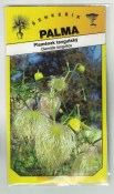 Plamének tangutský žlutý – Clematis tangutica