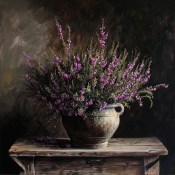 Erica carnea winter ladies sarah - vřes