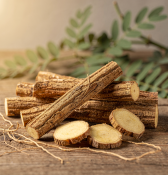 Glycyrrhiza glabra - Lékořice lysá  (2/2)