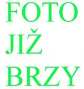 Mrazuvzdorná mandarinka Nova