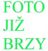 Angrešt rixanta rezistent český 110 cm
