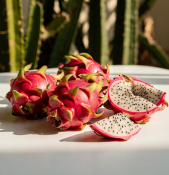 Pitaya - Hylocereus undatus – dračí ovoce (2/2)