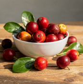 Psidium cattleyanum – Jahodový stromek  (2/2)