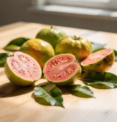 Psidium guajava – Kvajáva pravá - guava (2/2)