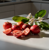 Psidium littorale – Psídium pobřežní - jahodová guava (2/2)