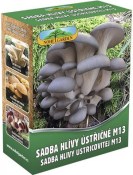 Sadba Hlíva ústřičná typ m13 velké balení 250 ml