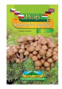 Sadba šupinovka nameko 2.jakost