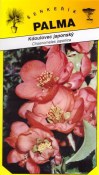 Semena Kdoulovec japonský – Chaenomeles japonica