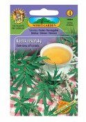 Semena Kozlík lékařský - Valeriana officinalis 2.jakost