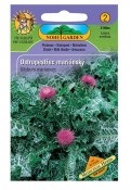 Semena Ostropestřec mariánský - Silybum marianum 2.jakost
