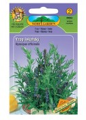  Semena Yzop lékařský - Hyssopus officinalis 2.jakost
