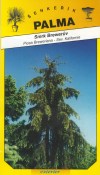 Smrk Brewerůw – Picea Breweriana
