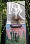 Tráva Cortaderia Rosea (1/2)