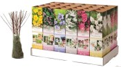 Venkovní keř - Hibiscus Syriacus - fialový (2/2)