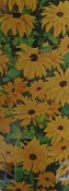 Venkovní keř - Rudbeckia fulgida goldstu žlutá