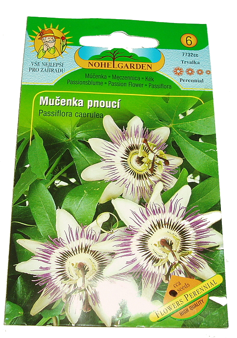 Semena Mučenka pnoucí – Passiflora caerulea