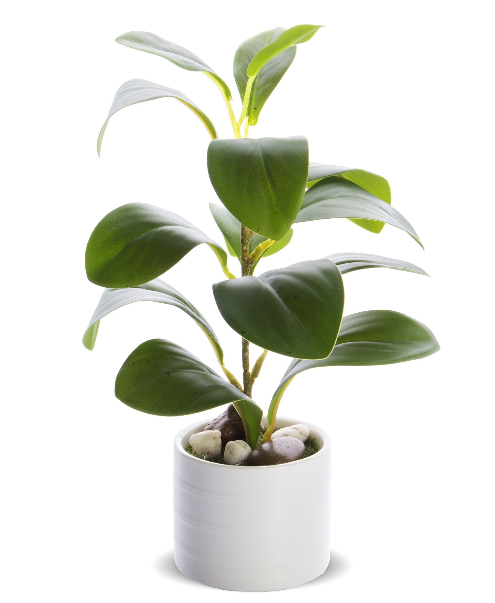 Umělá dekorativní rostlina ficus 25 cm